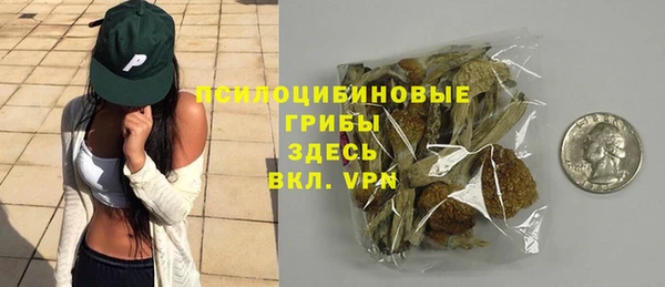 скорость Дмитриев