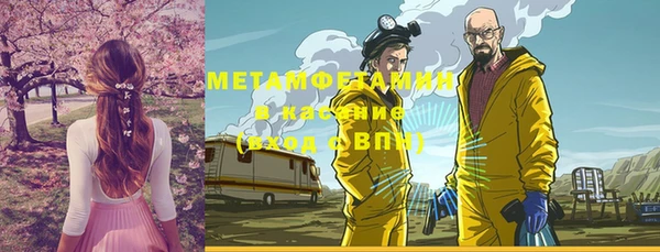 прущие грибы Пенза